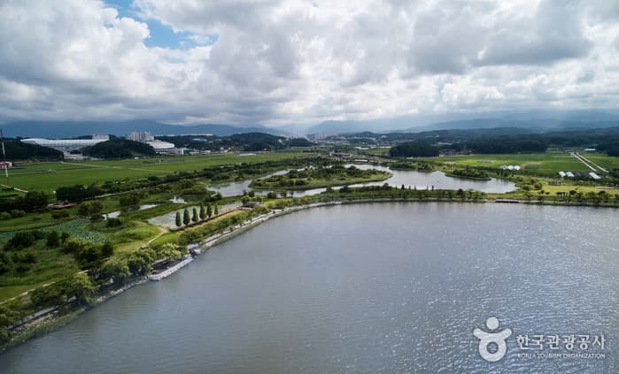 鏡浦湖（渡り鳥の飛来地）（경포호（철새도래지））